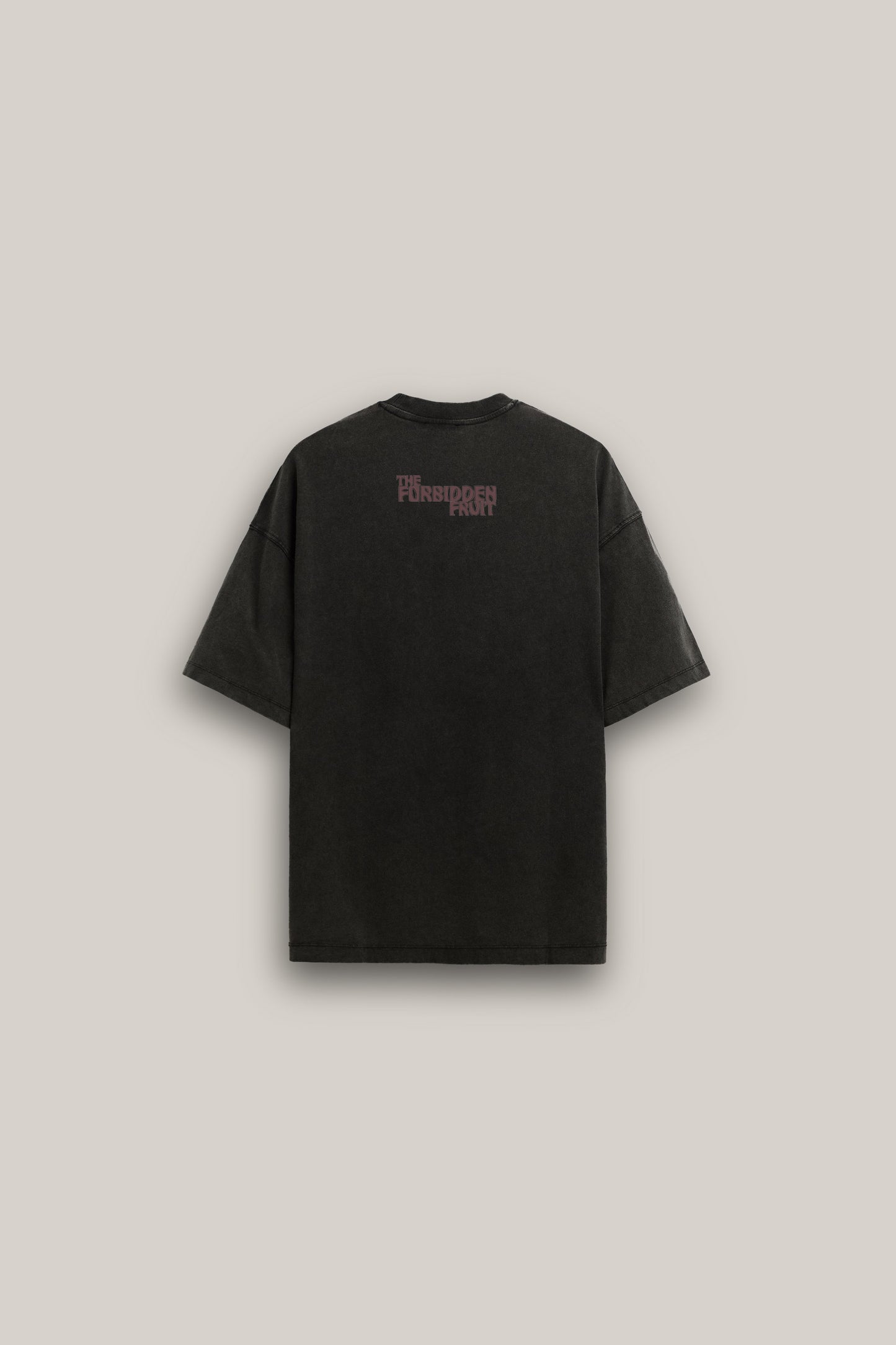 Led Zeppelin Oversized Vintage T-Shirt