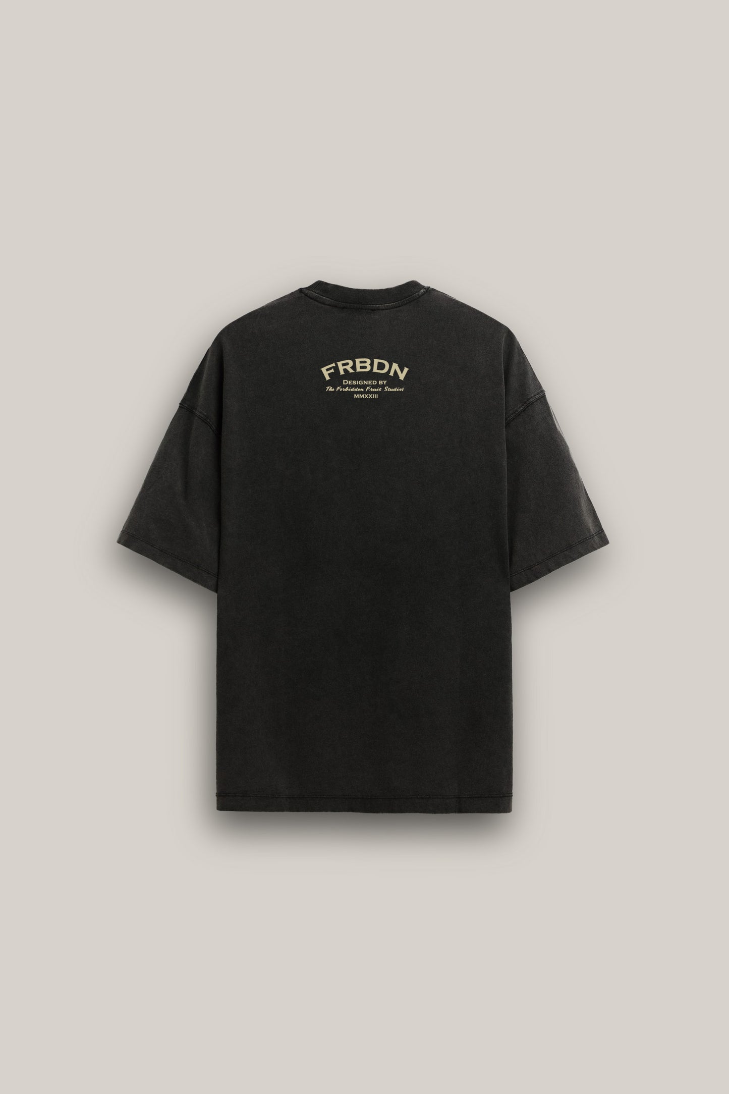 Nirvana Oversized  T-Shirt