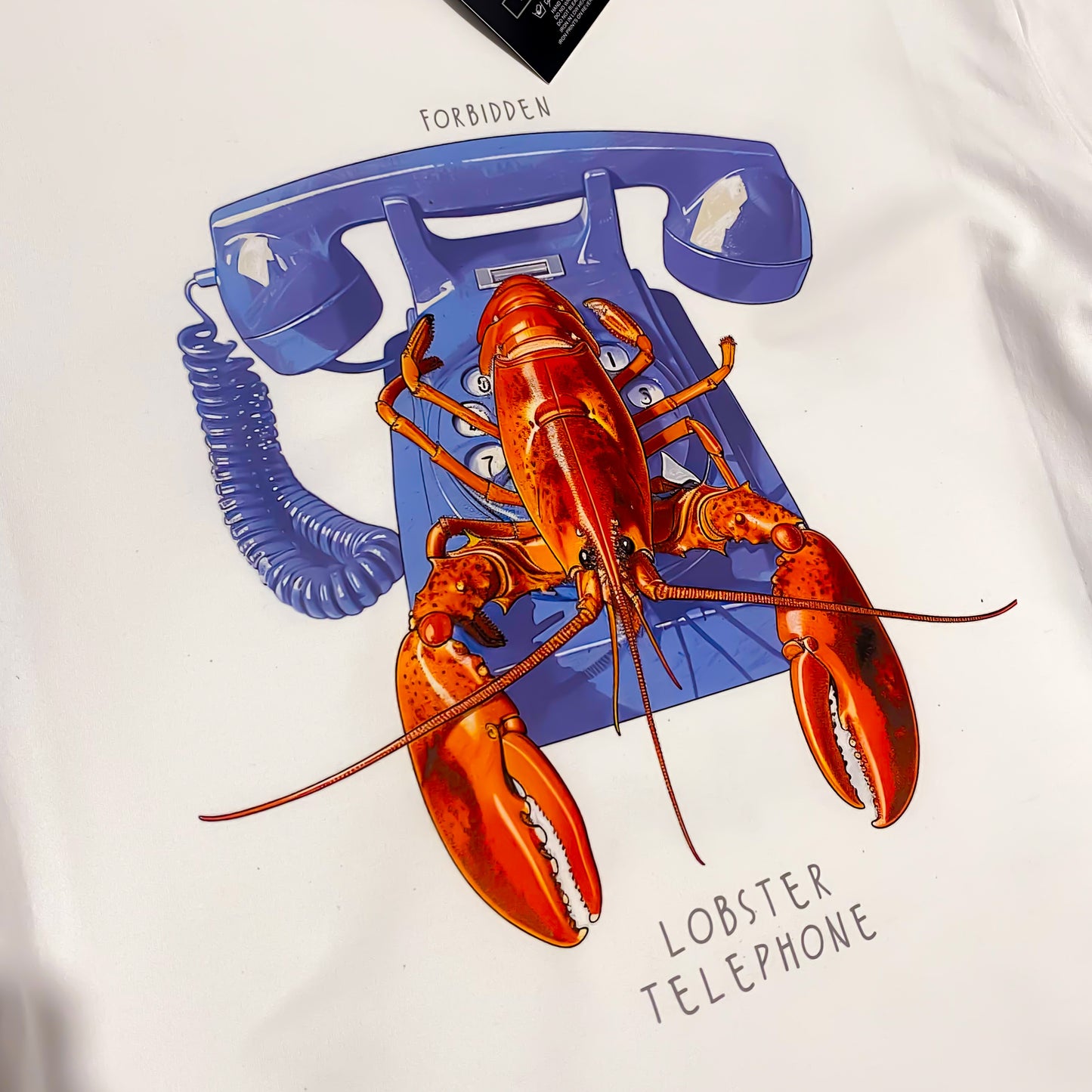 Lobster Telephone Oversized Tshirt